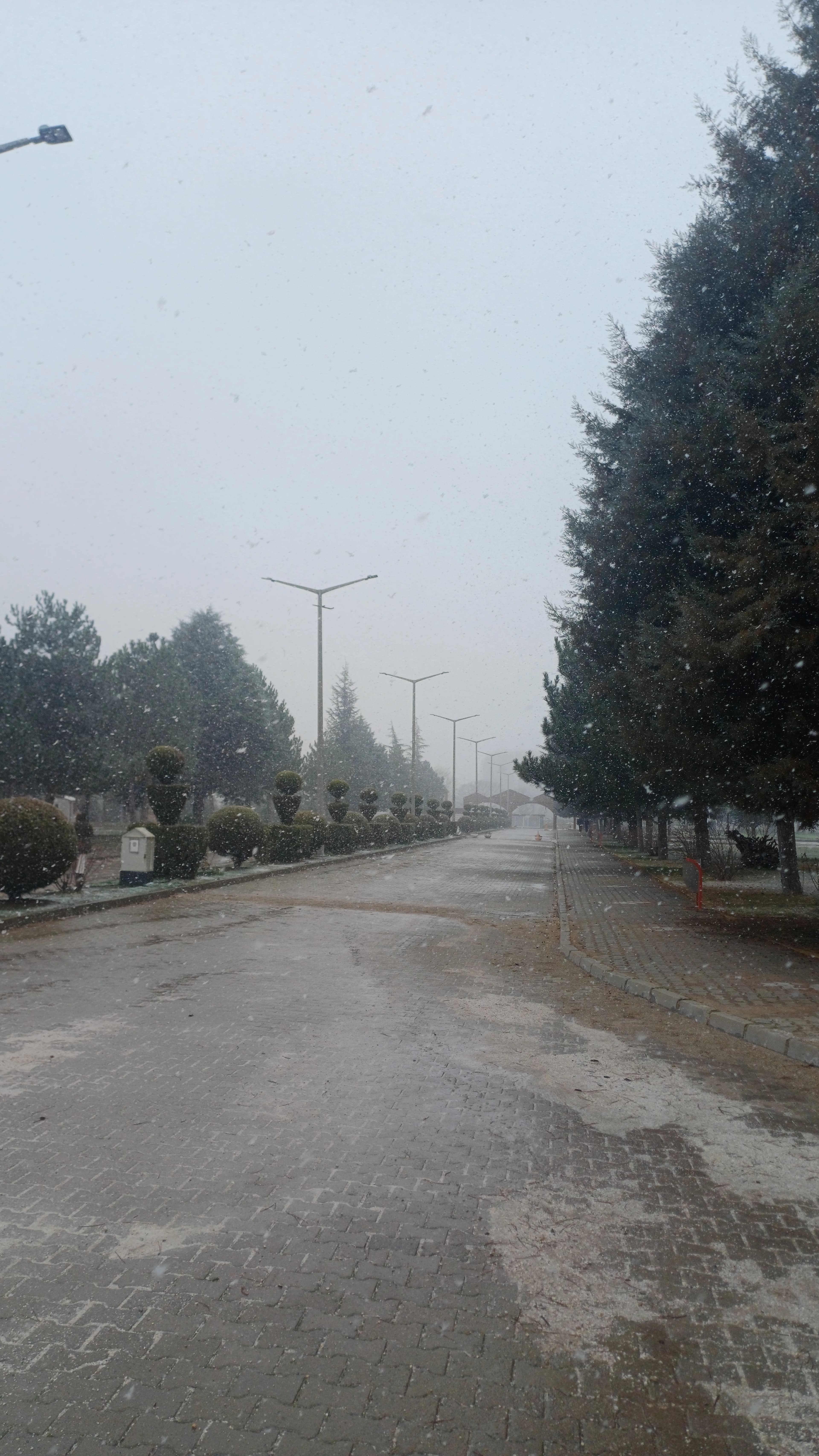 Kar yağışı altından üniversite bahçesi